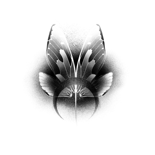 Butterfly_tattoo_studio